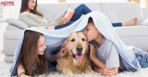 Is Pest Control Safe for Pets