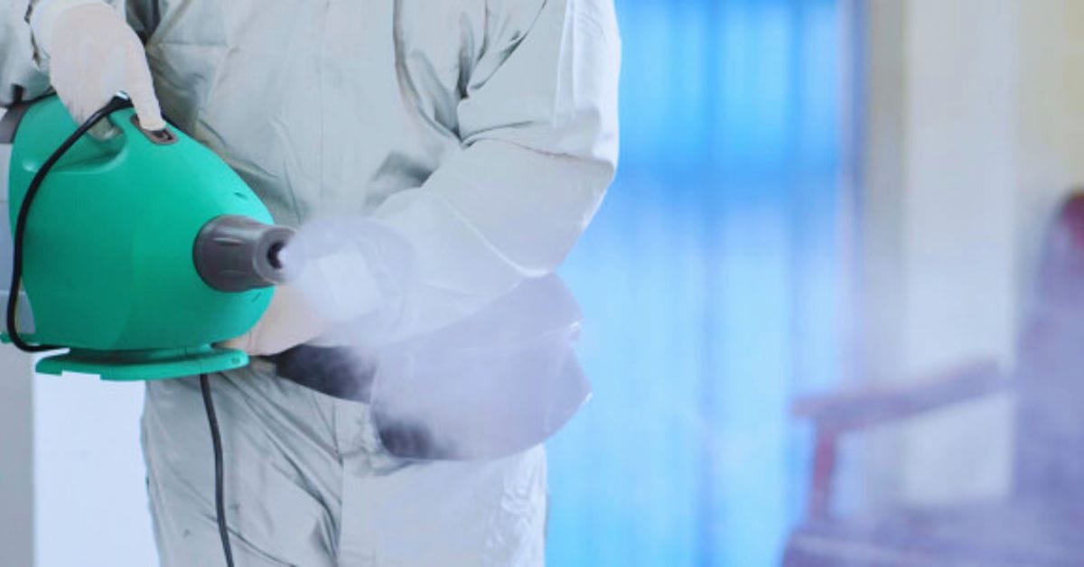 Why Hire Our Professional Pest Control Company?