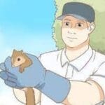 How do I get squirrels out of my house