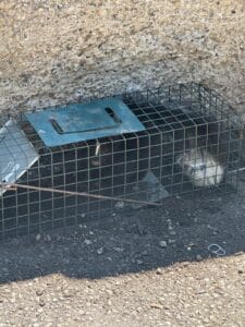 Sealing entry point service in Milton