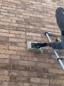 Wildlife Control Service in Brampton